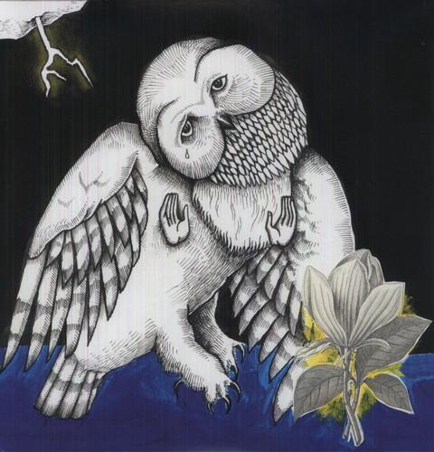 Songs: Ohia - The Magnolia Electric Company - LP Vinyl