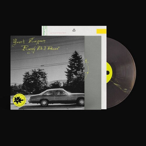 Youth Lagoon - Rarely Do I Dream - LP (Indie Exclusive, Thunderstorm Colored Vinyl)