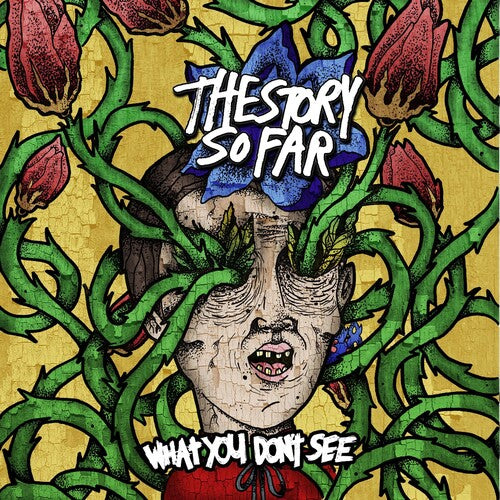 The Story So Far - What You Don't See - LP (Crayons Marble Vinyl)