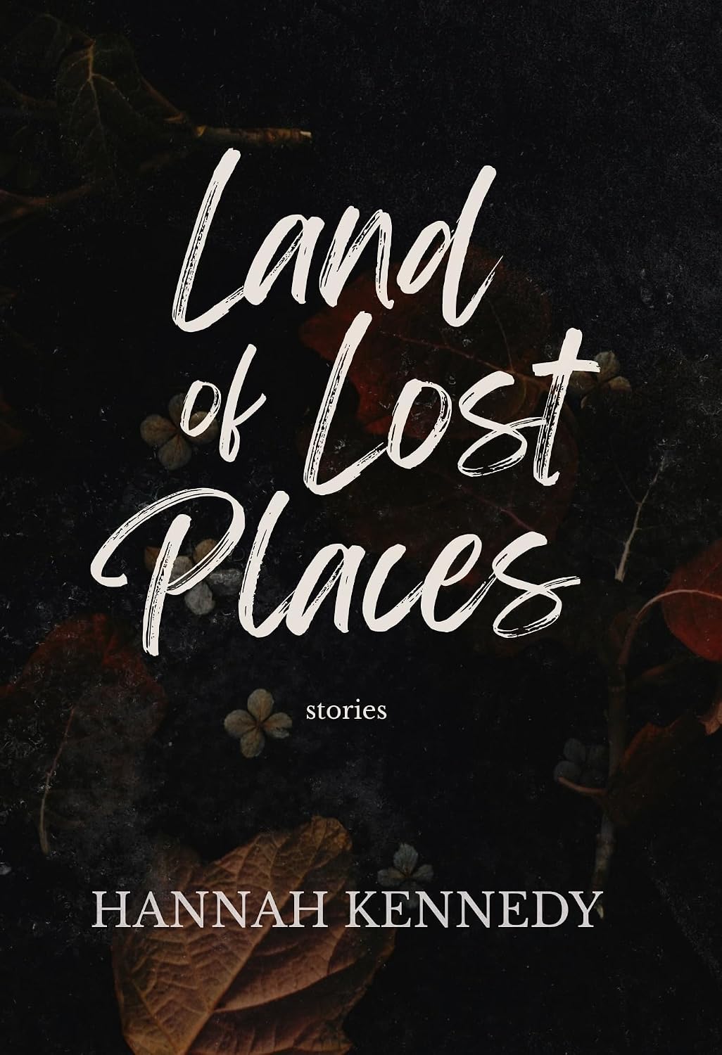 Land of Lost Places: Stories