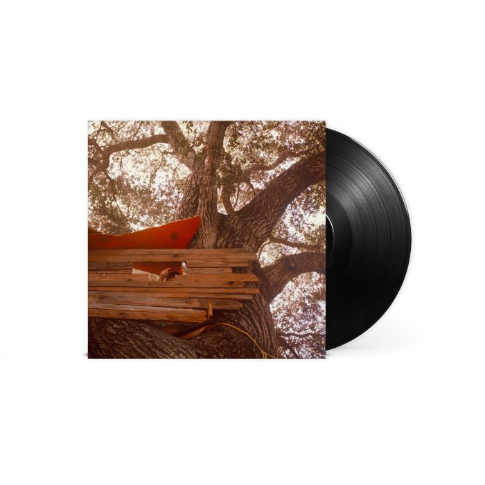 The Backseat Lovers - Waiting To Spill - LP