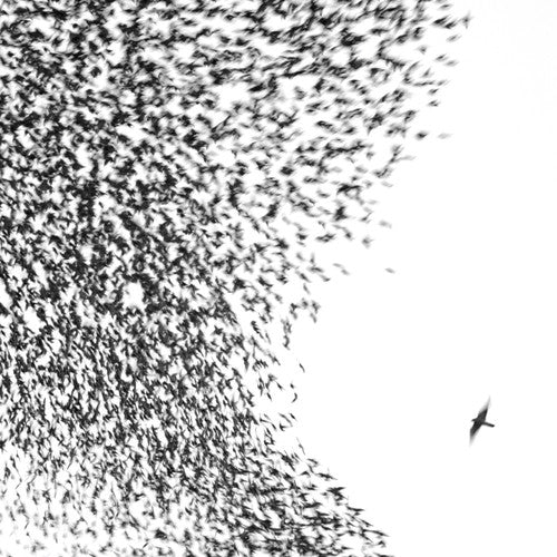 Wilco -  Sky Blue Sky - 2LP