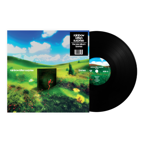 Rainbow Kitten Surprise - Bones - LP (Vinyl)