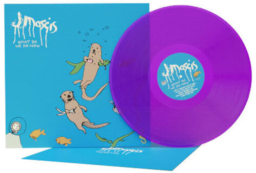 J Mascis - What Do We Do Now - LP (Loser Edition, Colored Vinyl)