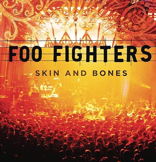 Foo Fighters - Skin And Bones - LP