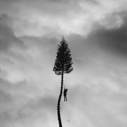 Manchester Orchestra - A Black Mile To The Surface - 2LP - Vinyl