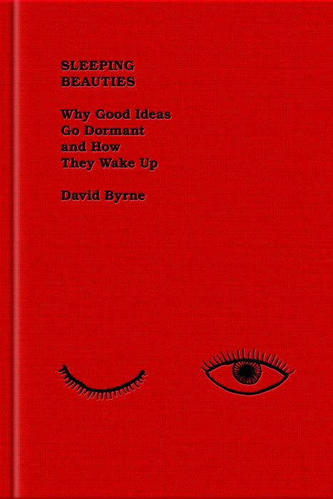 Sleeping Beauties: Why Good Ideas Go Dormant and How They Wake Up