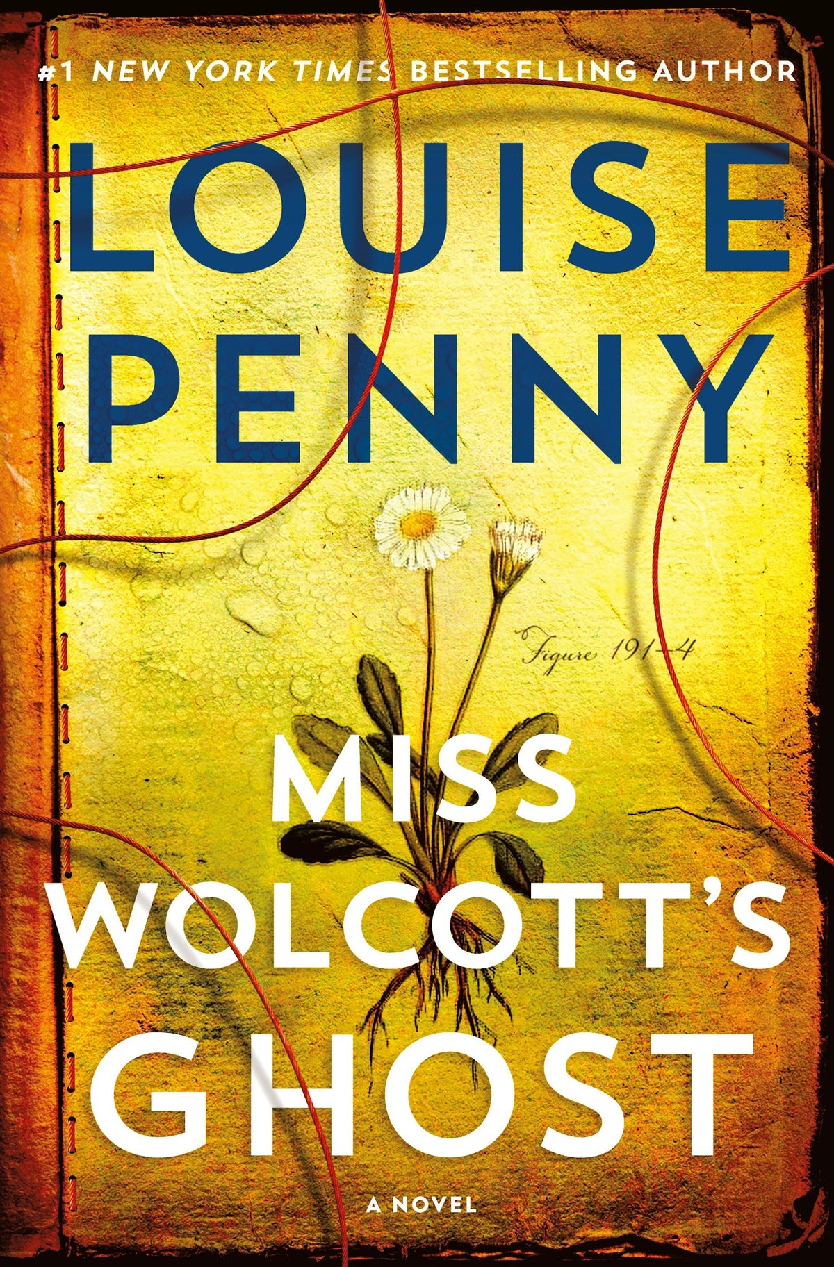Miss Wolcott's Ghost (Chief Inspector Gamache Novel #21)