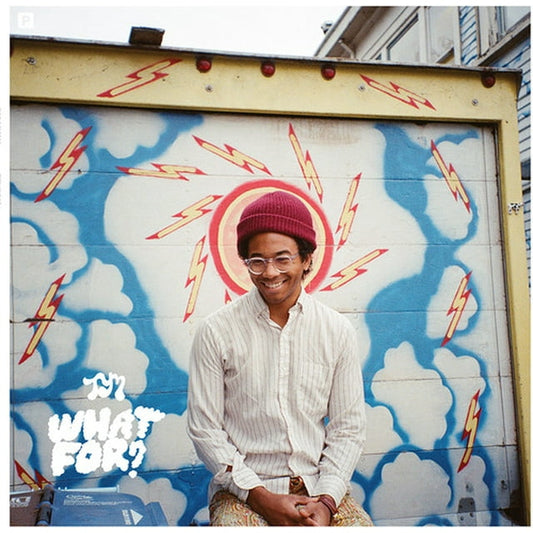 Toro Y Moi - What For? - LP