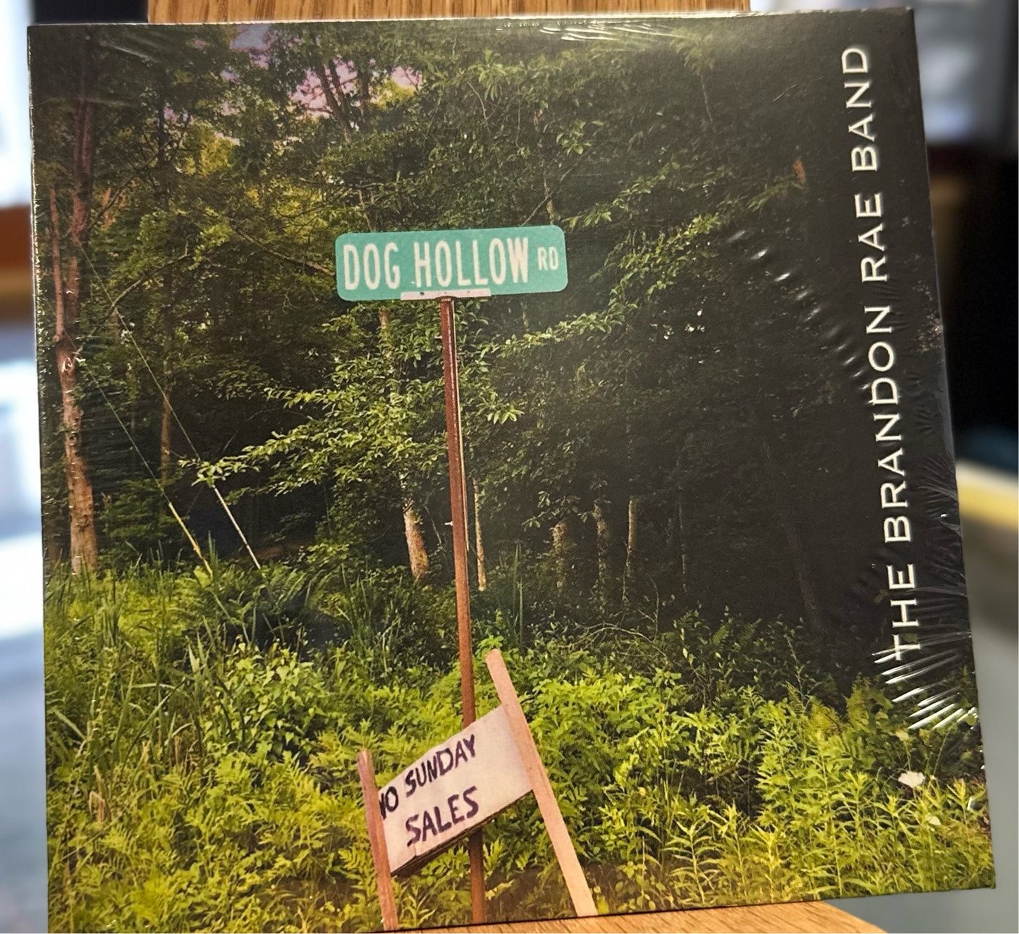 The Brandon Rae Band - Dog Hollow Rd. - CD