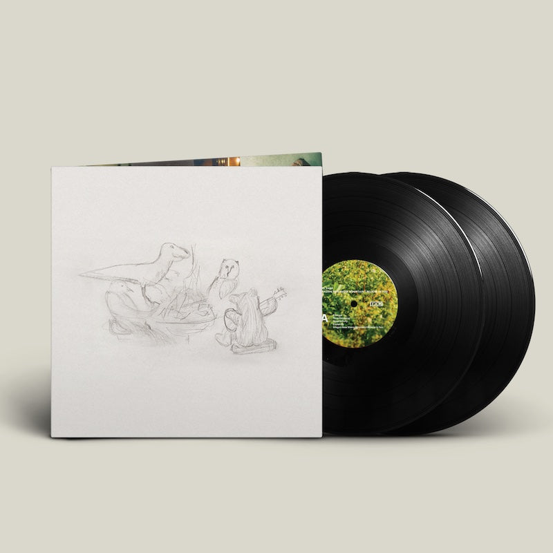 Big Thief - Dragon New Warm Mountain I Believe In You - LP