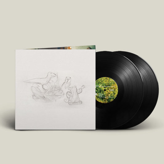 Big Thief - Dragon New Warm Mountain I Believe In You - LP
