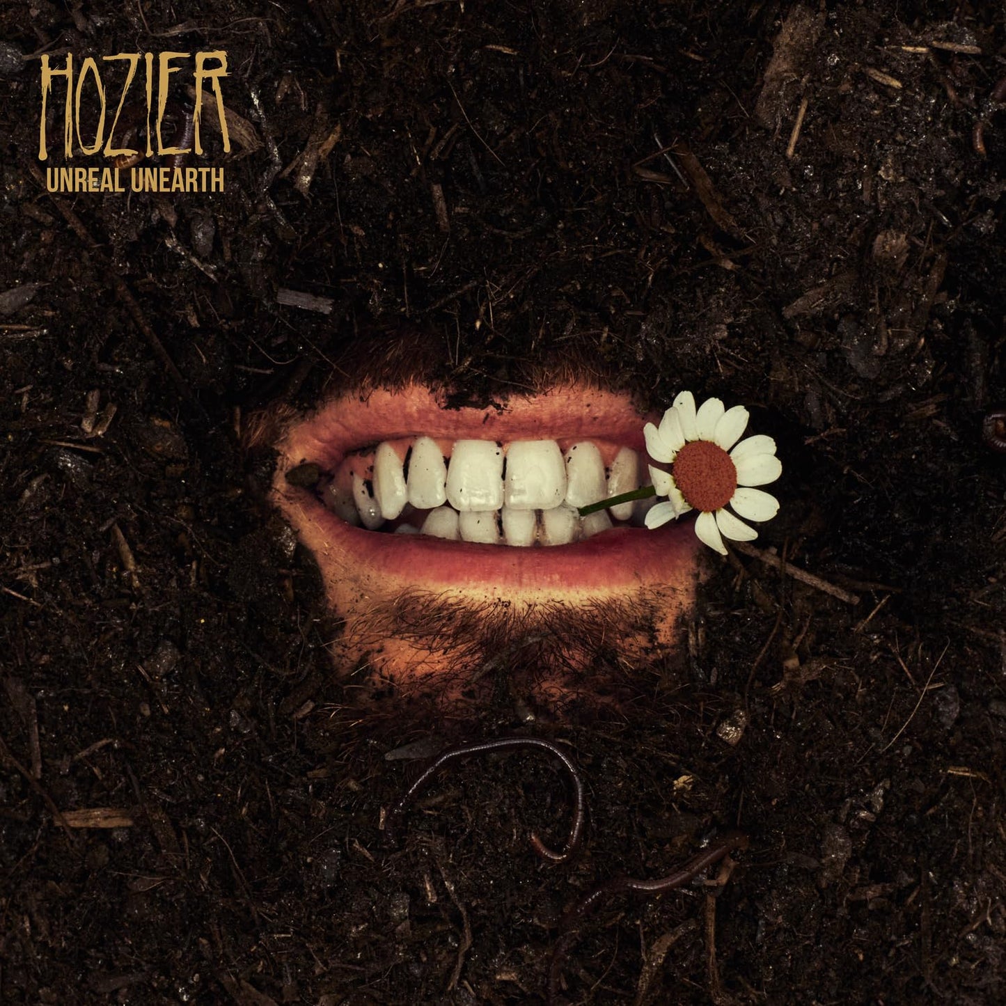 Hozier - Unreal Unearth - LP